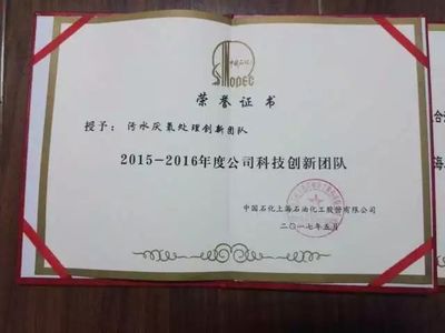 【一团一品】为你碧水蓝天，我们孜孜不倦——上海石化环保水务部第二团支部技术推广记